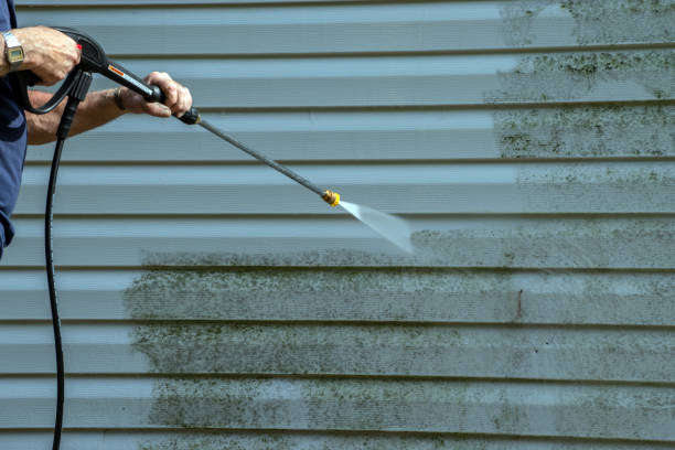 Best Roof Power Washing Services  in Hayneville, AL