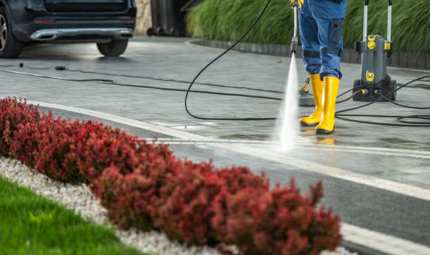 Professional Pressure Washing in Hayneville, AL